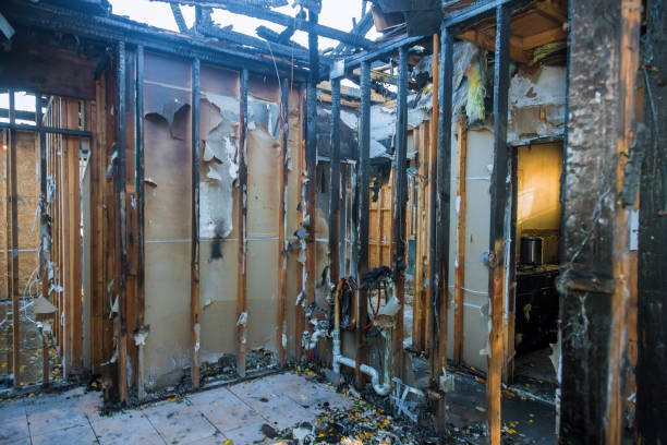 Professional Odor Removal technician working in Luck, WI