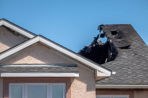 Top rated local Odor Removal specialists in Luck, WI